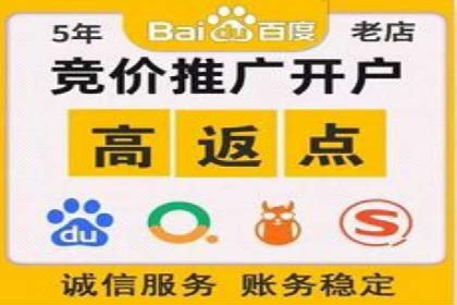 服装品牌SEM外包服务的市场推广案例